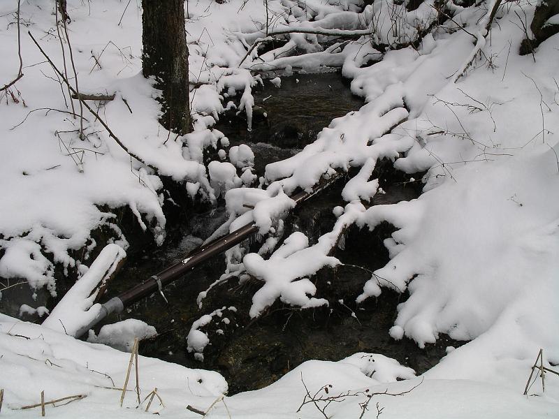 Winter 91.jpg